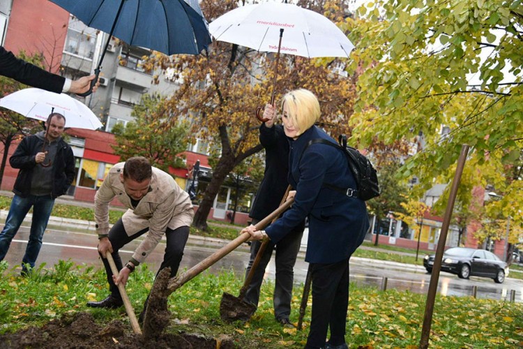 foto u tekst ispod pasusa o Gradu BL