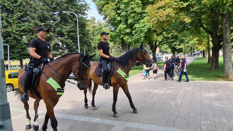 policijska konjica u doboju 01