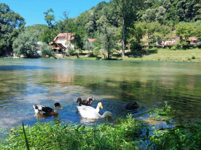 FOTO: Dobojski Info | VRIJEME: Danas promjenljivo, poslije podne ponegdje kiša