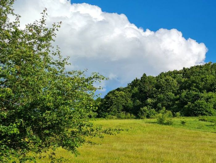 FOTO: Dobojski Info | VRIJEME: I danas veoma toplo, poslije podne kiša