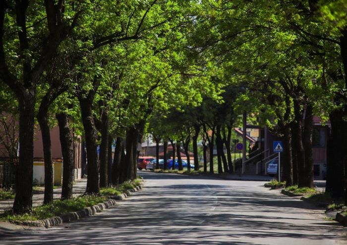 FOTO: Dobojski Info | VRIJEME: Sunčano i toplo, poslijepodne moguće lokalne nepogode