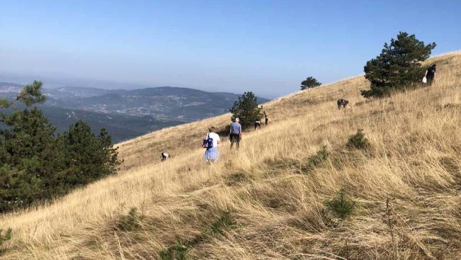 FOTO: Dobojski Info | DOBOJ: Na Ozrenu manifestacija "Branje trave Ive"