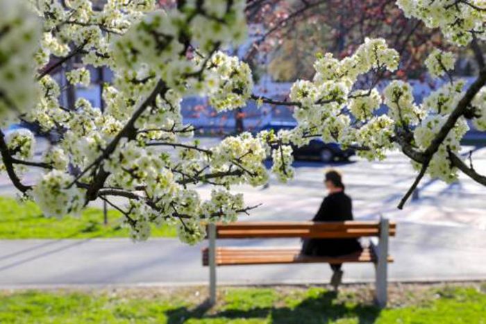 FOTO: Dobojski Info | VRIJEME: Danas pretežno sunčano, temperatura do 20 stepeni