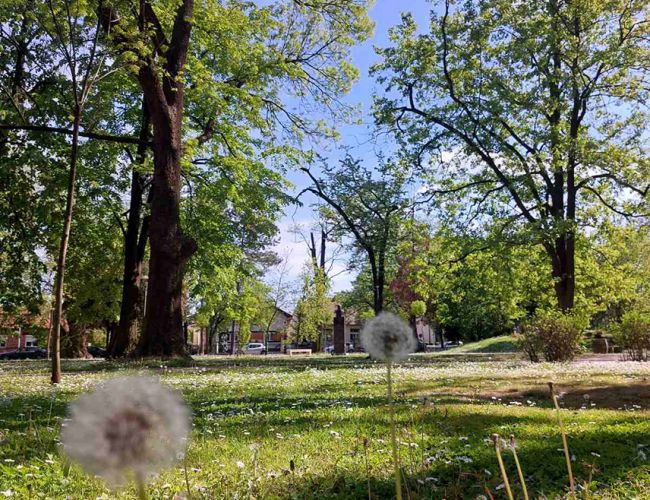 VRIJEME: Pretežno sunčano i vrlo toplo