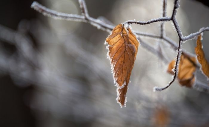 FOTO: Dobojski Info | VRIJEME: Sutra hladno i uglavnom suvo