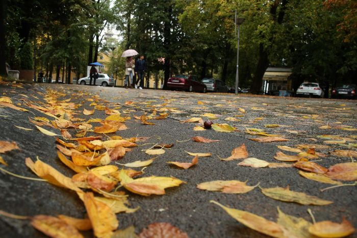 FOTO: SINIŠA PAŠALIĆ/RAS SRBIJA | 