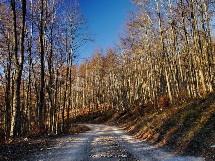 VRIJEME: Sunčano i toplo za ovo doba godine