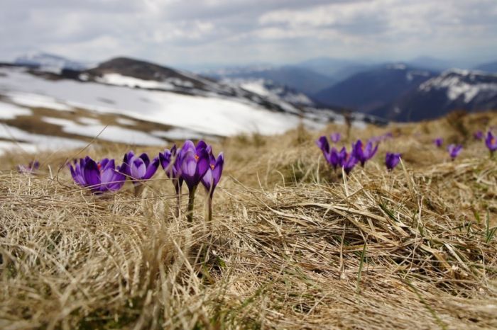 FOTO: Dobojski Info | VRIJEME: Djelimično razvedravanje, uz više sunčanih perioda