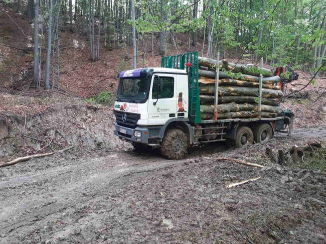 FOTO: Dobojski Info | DOBOJ: Šumsko gazdinstvo "Doboj" pred zabranom rada?