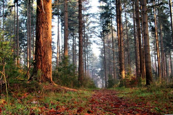 FOTO: Dobojski Info | VRIJEME: Danas oblačno uz sunčane periode