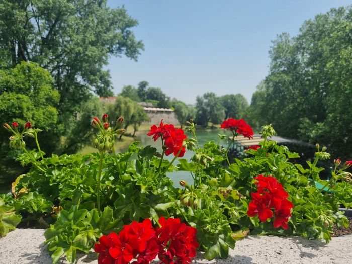 FOTO: Dobojski Info | VRIJEME: Danas pretežno sunčano i toplo