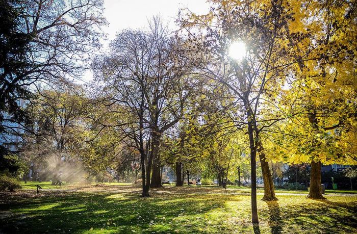 FOTO: Dobojski Info | VRIJEME: Danas do 24 stepena celzijusova