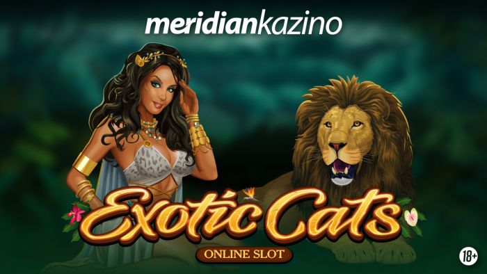 FOTO: Dobojski Info | Exotic Cats– divlje mačke i džungla će vas očarati!