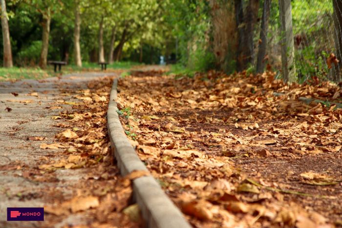 FOTO: Dobojski Info | VRIJEME: Danas suvo i hladnije