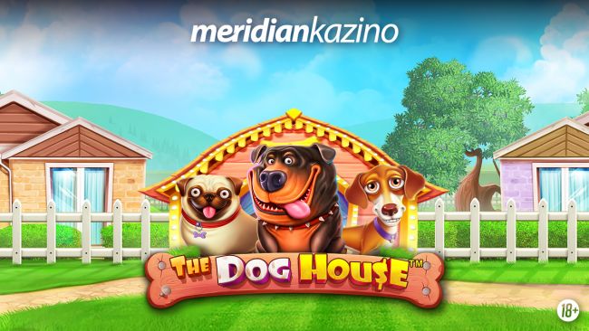 FOTO: Dobojski Info | MERIDIAN KAZINO: The Dog House – pokreni bonus igru sa ljepljivim džokerima!