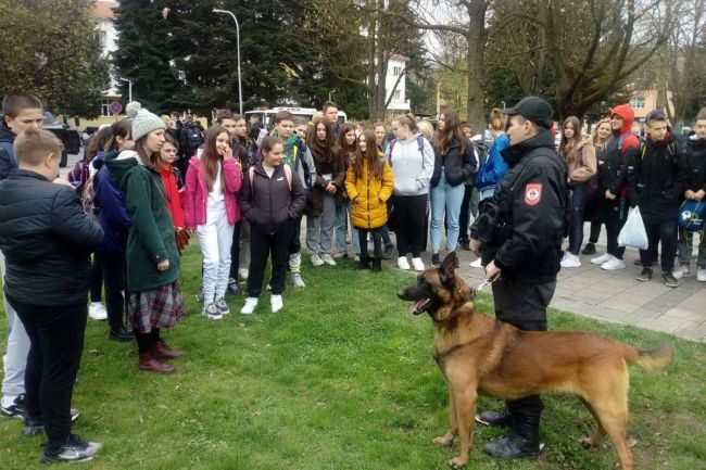 FOTO: Dobojski Info | DOBOJ: Koko i Maks ukrali šou