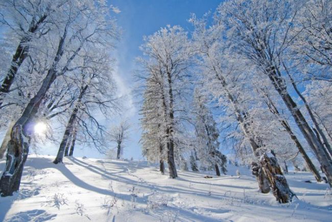 FOTO: Dobojski Info | VRIJEME: Pretežno sunčano i toplije