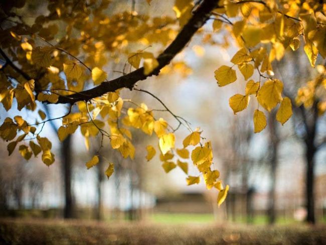 VRIJEME: Danas sunčano, na jugu do 17 stepeni celzijusovih