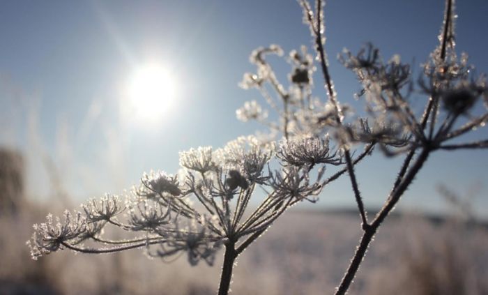 FOTO: Dobojski Info | VRIJEME: Sutra sunčano i toplo, do 18 stepeni