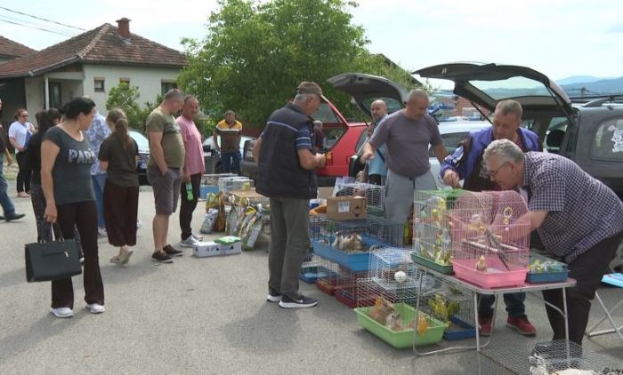 FOTO: Dobojski Info | DOBOJ: Društvo za uzgoj i zaštitu sitnih životinja &quot;Dobojski odgajivač&quot; organizuje Berzu sitnih životinja