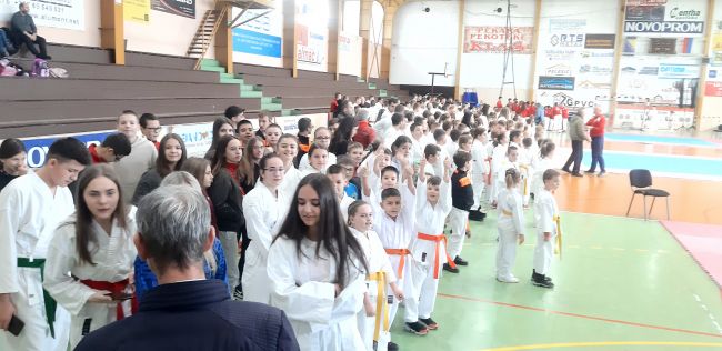 FOTO: Dobojski Info | DOBOJ: Osvrt na Otvoreni karate kup "Liga karate šampiona"