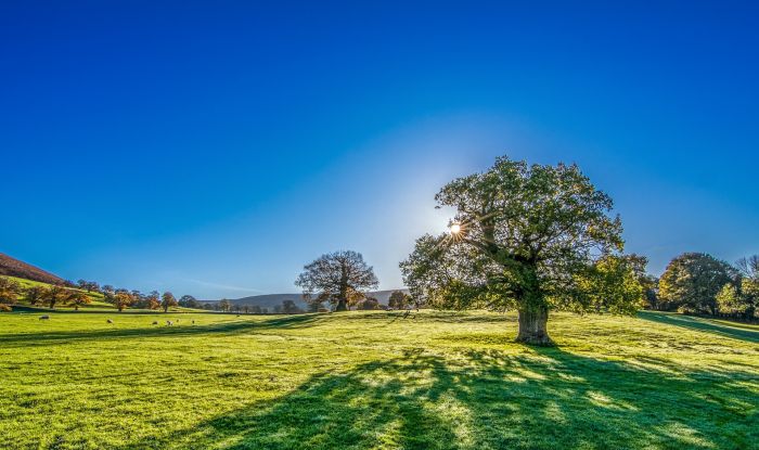 FOTO: Dobojski Info | VRIJEME: Sunčano i toplije