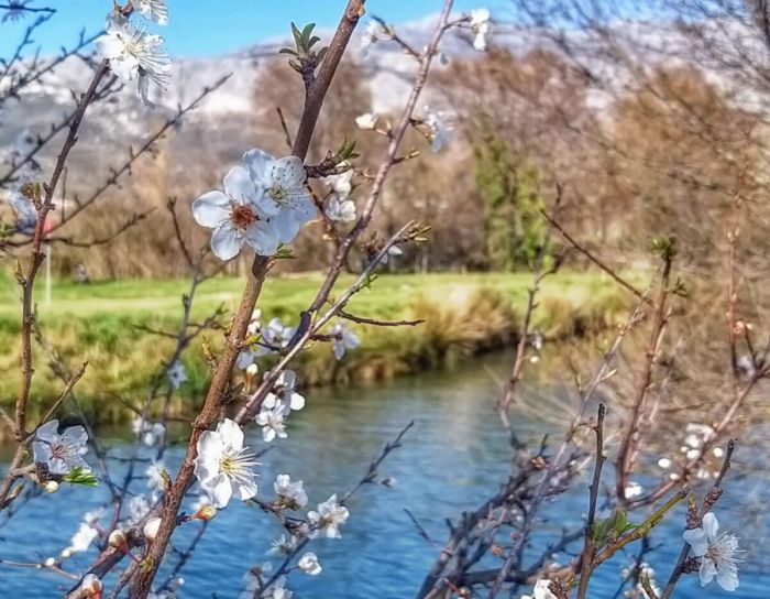 FOTO: Dobojski Info | PROLJEĆE NAM KUCA NA VRATA: Od sutra pretežno sunčano i postepeno toplije vrijeme