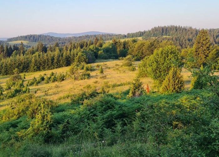 FOTO: Dobojski Info | VRIJEME: Pretežno oblačno sa sunčanim periodima