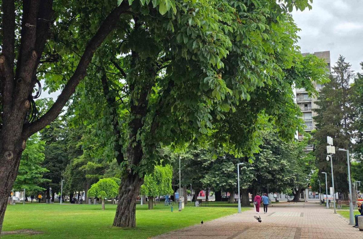 VRIJEME: Pretežno sunčano jutro, tokom dana toplije i ugodno