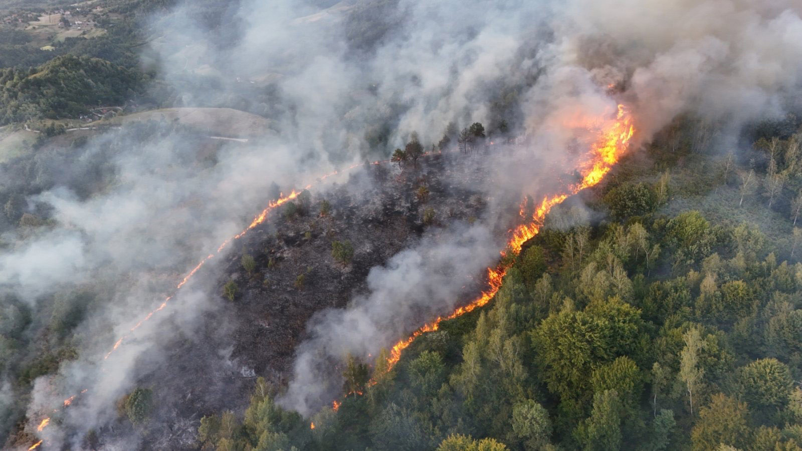Požar u Osojnici stavljen pod kontrolu: Izgorjelo oko 300 dunuma šume, na terenu ostala žarišta
