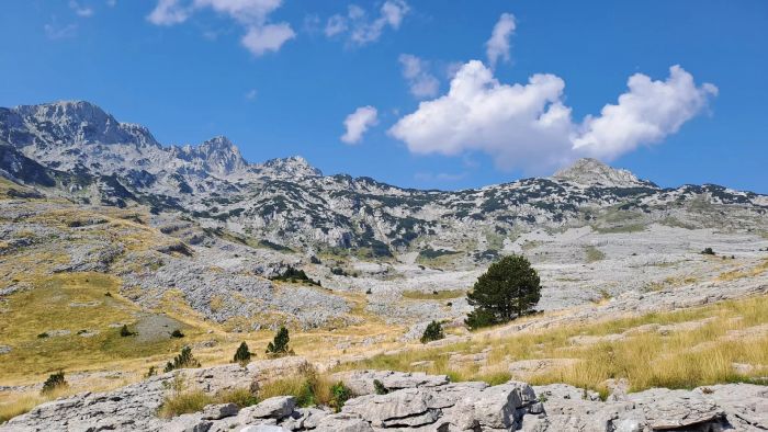 FOTO: Dobojski Info | VRIJEME: Danas sunčano sa temperaturom do 14 stepeni