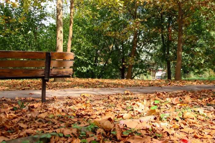 FOTO: Dobojski Info | VRIJEME: Vjetrovito, toplo i promjenljivo